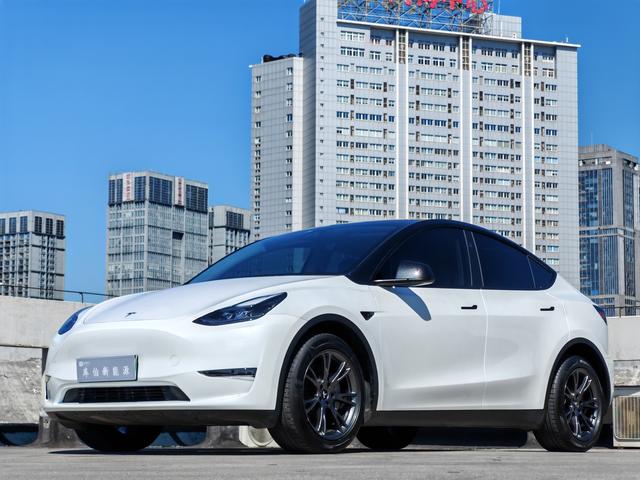 Model Y 2024 long battery life all-wheel drive version