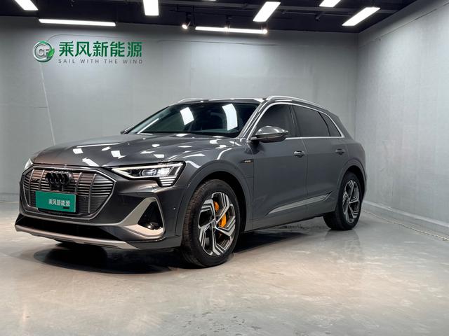 Audi e-tron 2021 50 quattro Pegasus