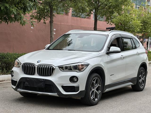 BMW X1 2018 xDrive20Li Premium