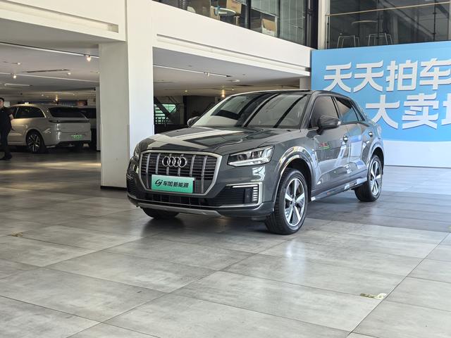 Audi Q2L e-tron 2019 Pure Electric Intelligence