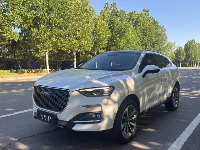 Haval F5 2019 National Tide Edition 1.5T i Tide National VI