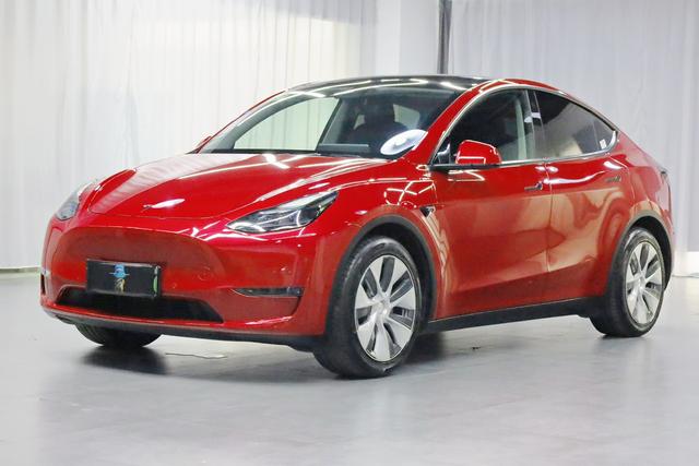 Model Y 2021 Standard Range Rear-Wheel Drive