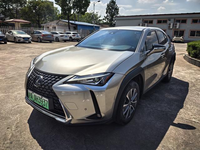 Lexus UX EV 2020 300e Pure-Joy