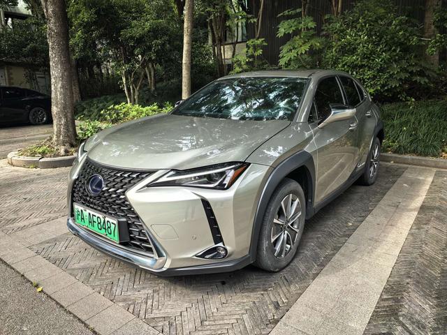 Lexus UX EV 2020 300e Pure-Enjoyment