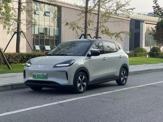 Wuling Bingguo PLUS 2024 330km five-seater version
