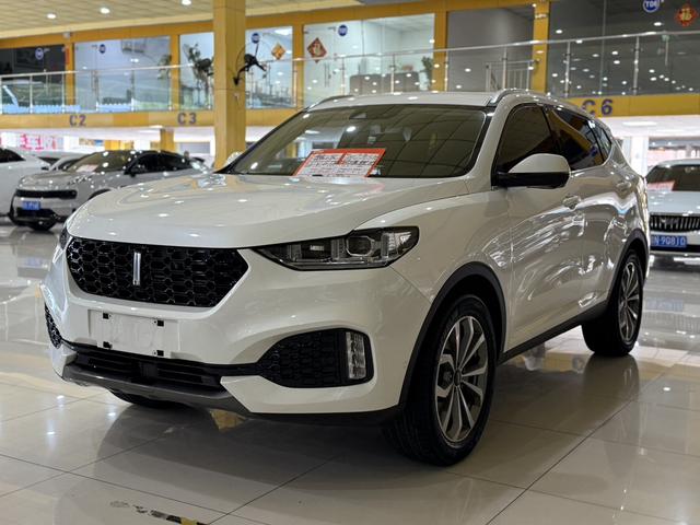 Wei brand VV6 2019 2.0T four-wheel drive flagship country VI