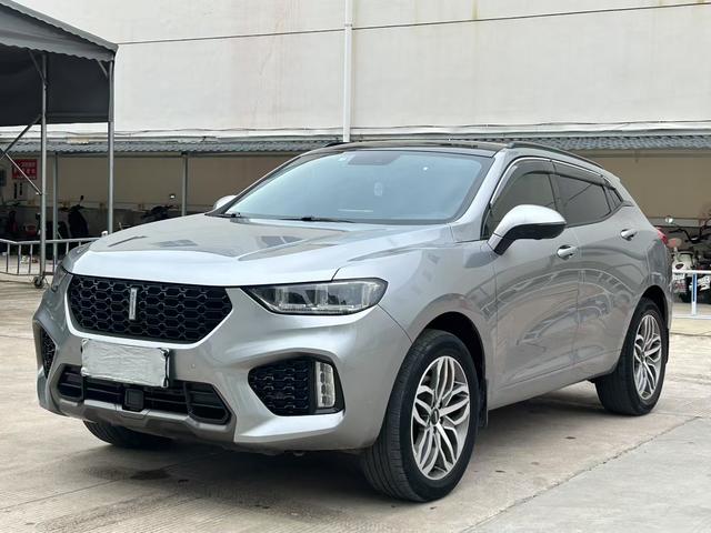 Wei brand VV5 2019 upgraded 2.0T two-wheel drive flagship national V
