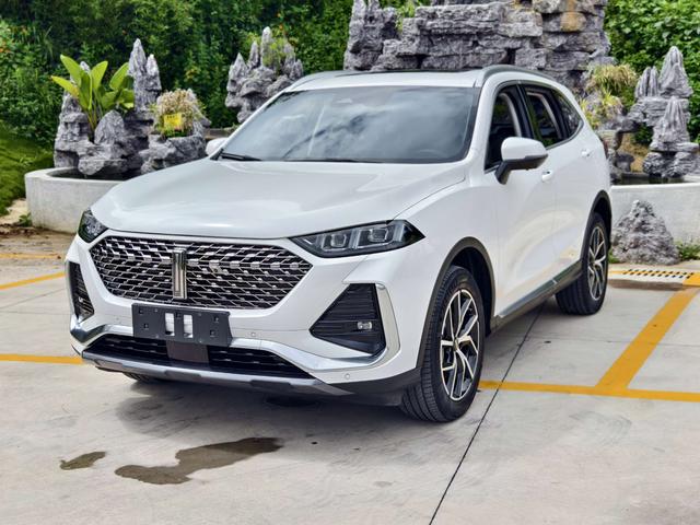 Latte PHEV 2022 1.5T two-wheel drive large cup
