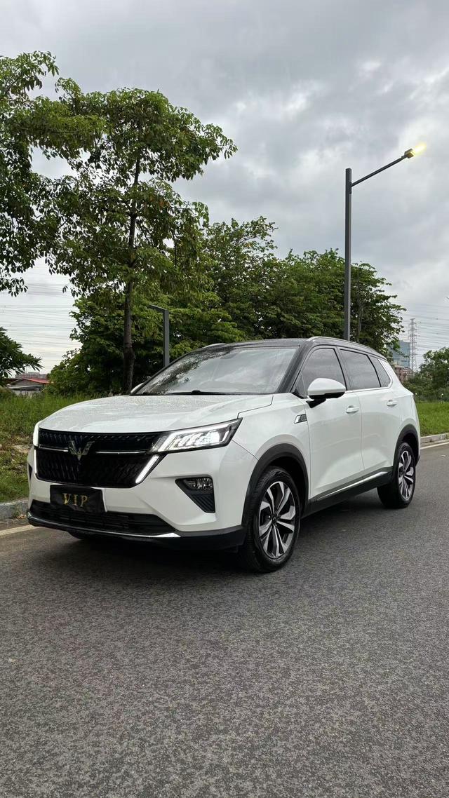 Wuling Xingchen 2021 1.5T Automatic Star Obsidian Version