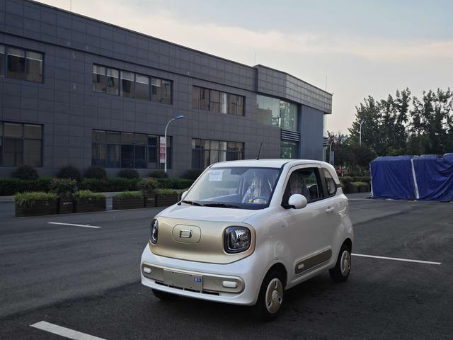 Pentium Pony 2025 222km Smart Horse