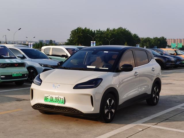 Wuling Bingguo PLUS 2024 510km five-seater version