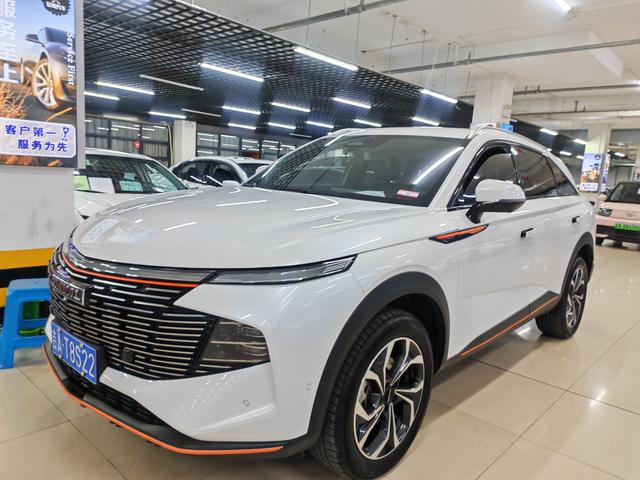 Havoc Beast 2022 1.5T Smart Link DHT