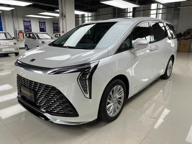 Century 2025 2.0T Seven-seater Yunshi Edition