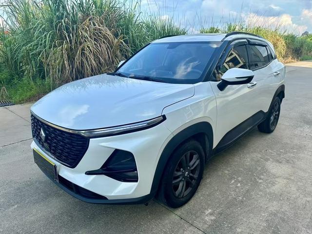 Baojun RS-3 2019 1.5L CVT 24-hour online luxury