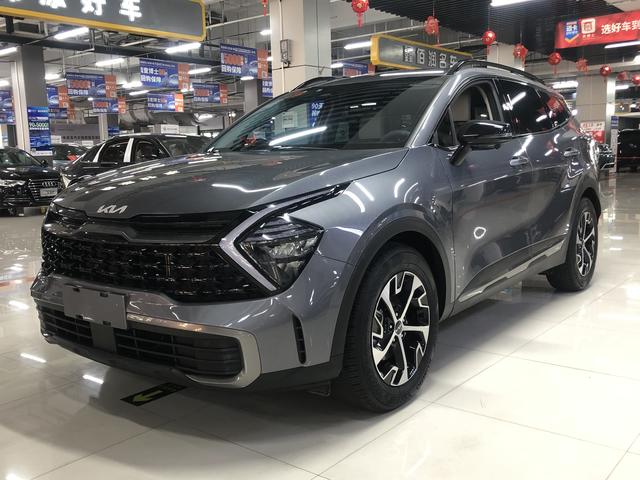 Lion Platinum Tuojie 2023 1.5T Two-wheel drive Premium Edition