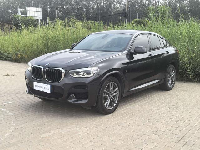 BMW X4 2019 xDrive25i M Sport Package