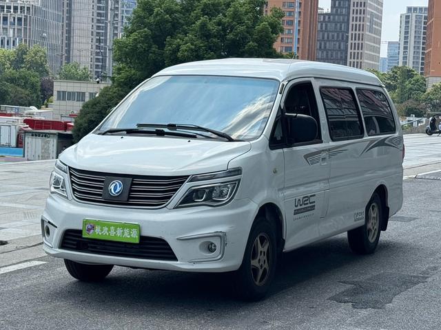 Lingzhi New Energy 2021 Passenger Version Comfortable 9-seater