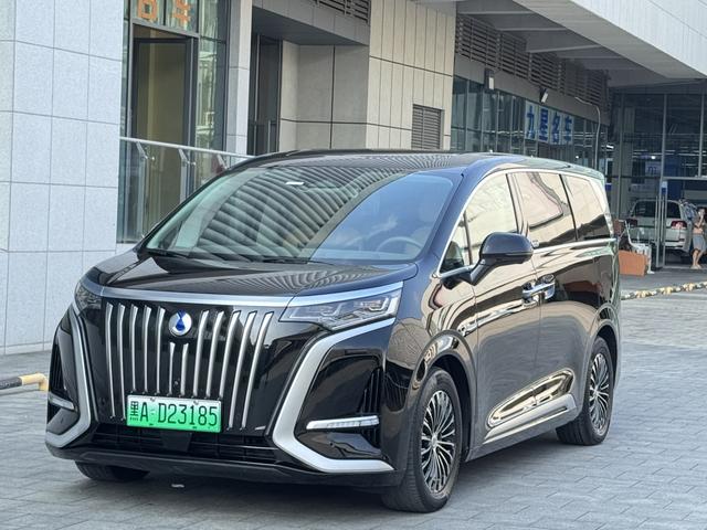 Tengsten D9 EV 2022 600 4WD Flagship