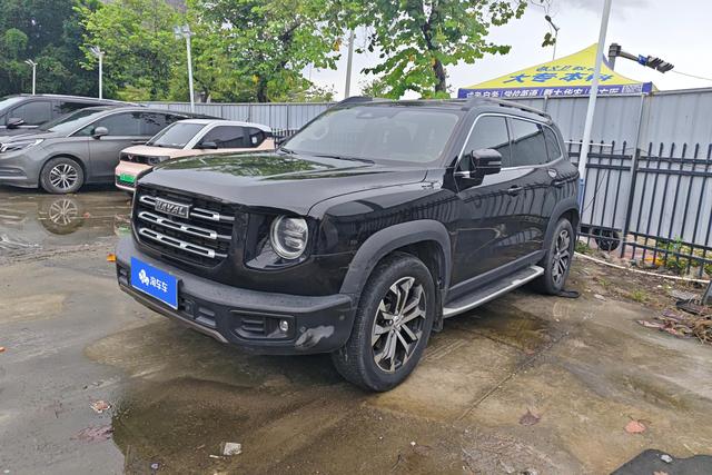 Havoc Big Dog 2021 1.5T 2WD Horse Dog Edition