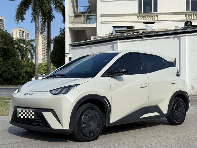 Seagull 2024 Glory Edition 305KM Vitality Edition