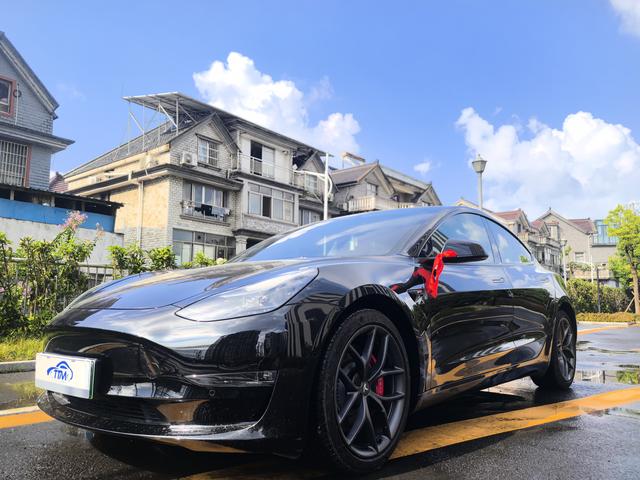 Model 3 2021 Performance All-Wheel Drive 3D3/3D6