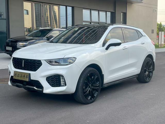Wei brand VV5 2019 upgraded 2.0T two-wheel drive flagship national V
