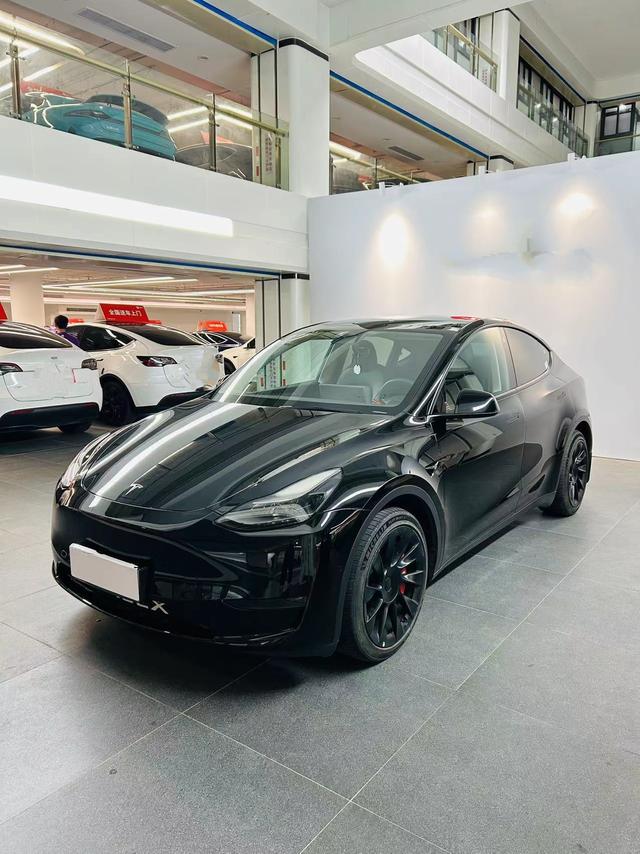 Model Y 2021 Standard Range Rear-Wheel Drive