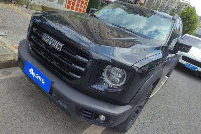 Havoc Big Dog 2022 1.5T 2WD Horse Dog Edition