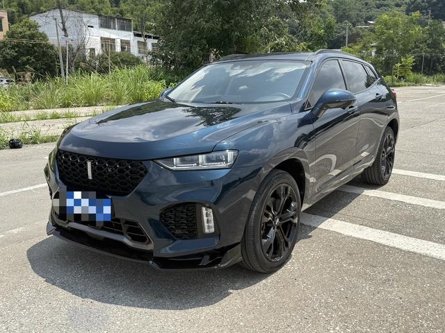 Wei brand VV7 2019 upgraded 2.0T Super Luxury National V