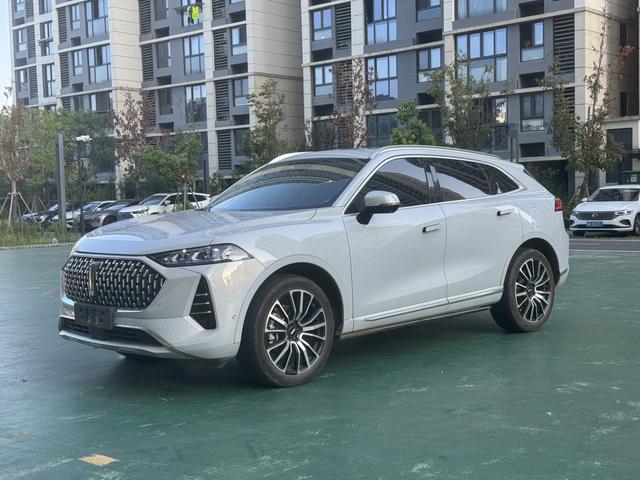 Mocha 2021 2.0T four-wheel drive special alcohol version