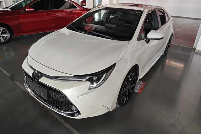 Ralink 2019 185T Sports Version National V