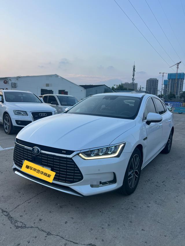 Qin Pro EV 2018 EV500 Smart Union Collar Type