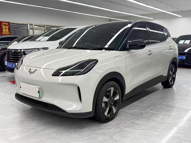 Wuling Bingguo PLUS 2024 510km five-seater version