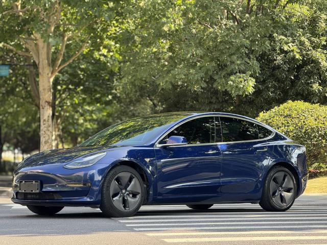 Model 3 (Import) 2019 Long Range Rear Drive Edition