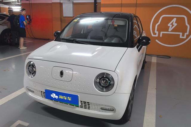 Euler Black Cat 2019 351km Parent-child Version