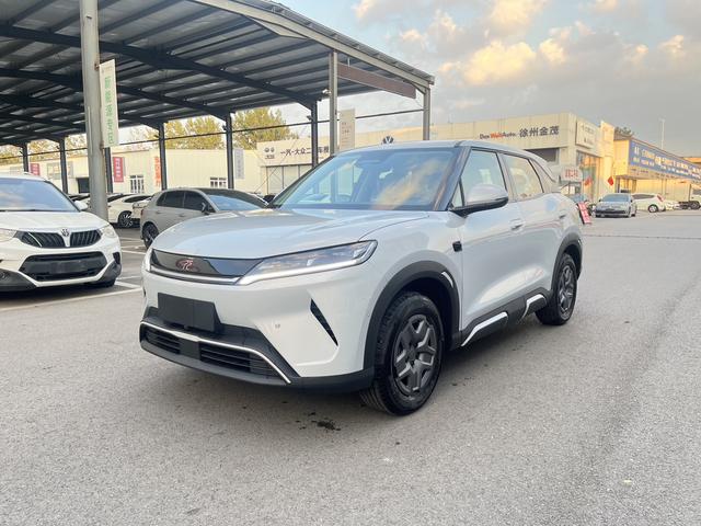Yuan UP 2025 Smart Driving Version 401KM Vitality Version
