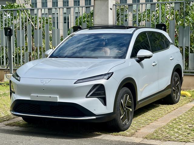 Wuling Xingguang S EV 2025 510KM Flagship Model