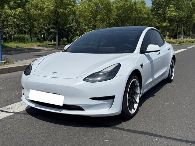 Model 3 2021 Standard Range Rear Drive Upgrade 3D6