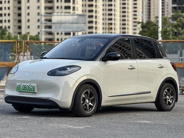 Wuling Colorado 2023 333KM Master Mind Connection Model