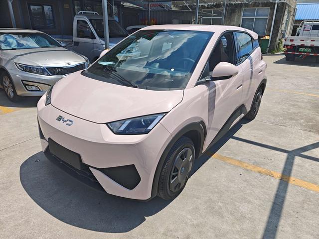 Seagull 2025 Smart Driving Version 305KM Vitality Version