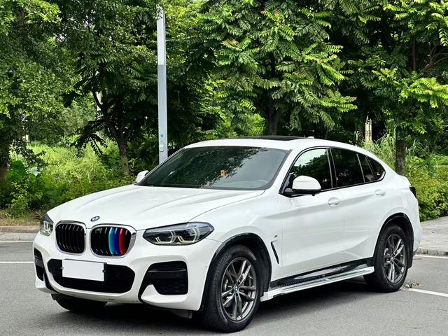 BMW X4 2019 xDrive25i M Sport Package