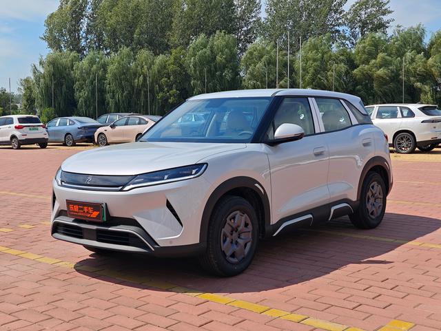 Yuan UP 2025 model 301KM pilot type