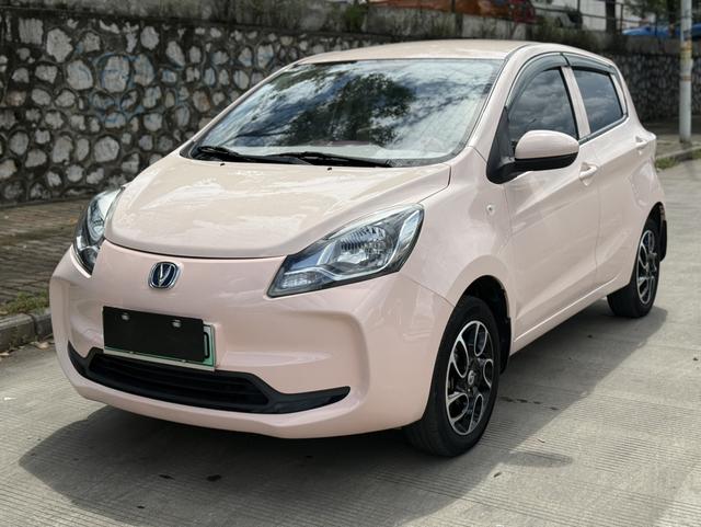 Pentium E-Star 2021 National Edition Heartland Edition Lithium iron phosphate (31.18kWh)