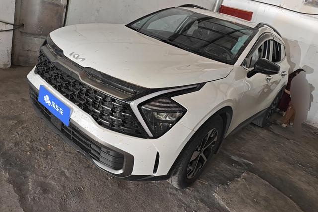 Lion Platinum Tuojie 2023 1.5T Two-wheel drive Premium Edition