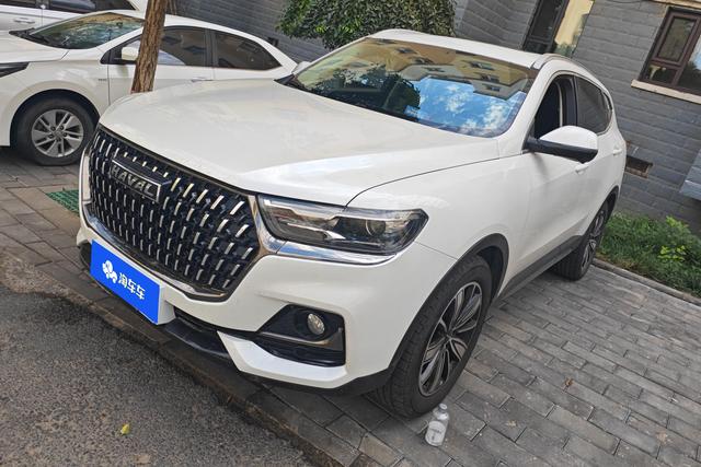 Haval H6 2023 National Tide 1.5T Auto Champion Edition