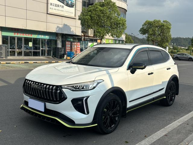 Havalanche 2021 Excite Edition 1.5T Golden Rabbit