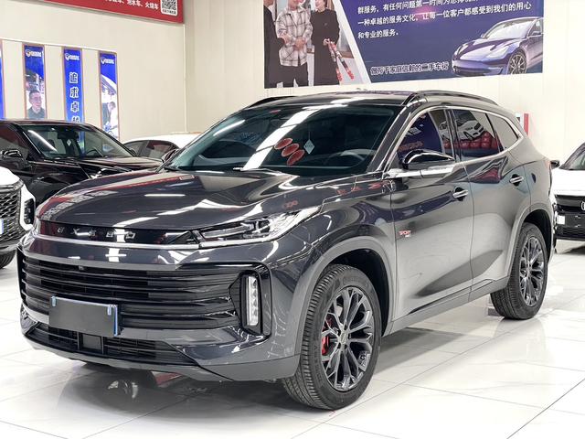 Xingtu Lingyun 2023 Lingyun S 300T Four-wheel drive CCPC Champion Edition