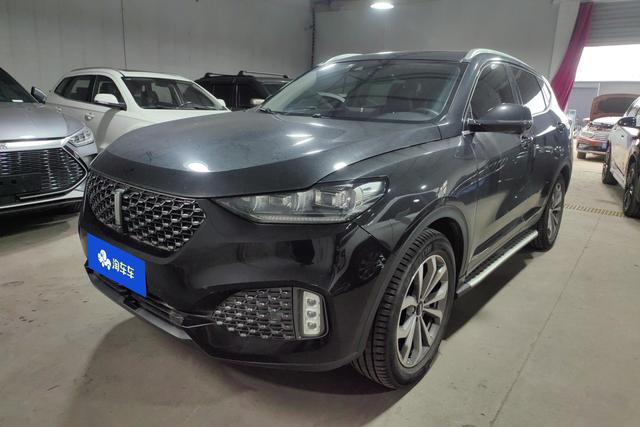 Wei brand VV6 2020 2.0T two-wheel drive smart enjoy+
