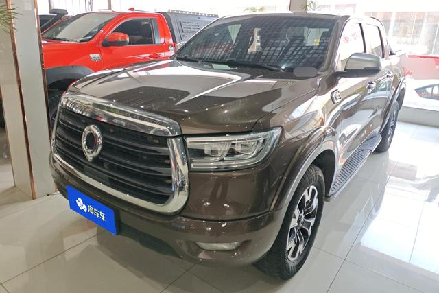 Cannon 2019 Passenger Edition 2.0T Gasoline Auto 4WD Comfort Standard Box GW4C20B