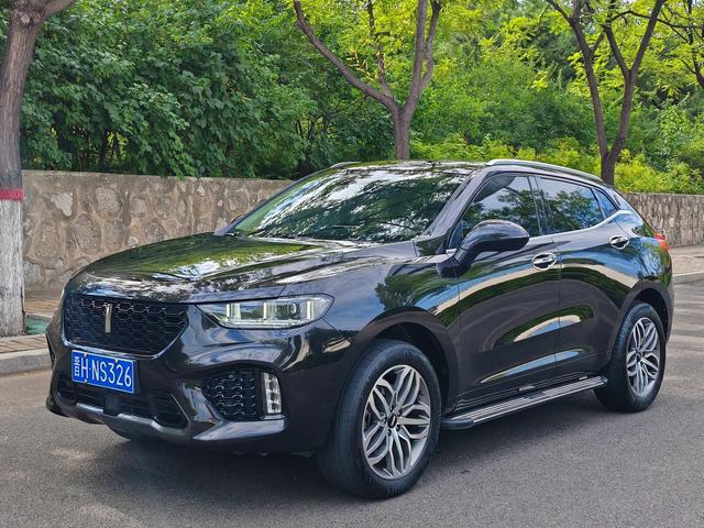 Wei brand VV5 2019 upgraded 2.0T two-wheel drive super luxury national V